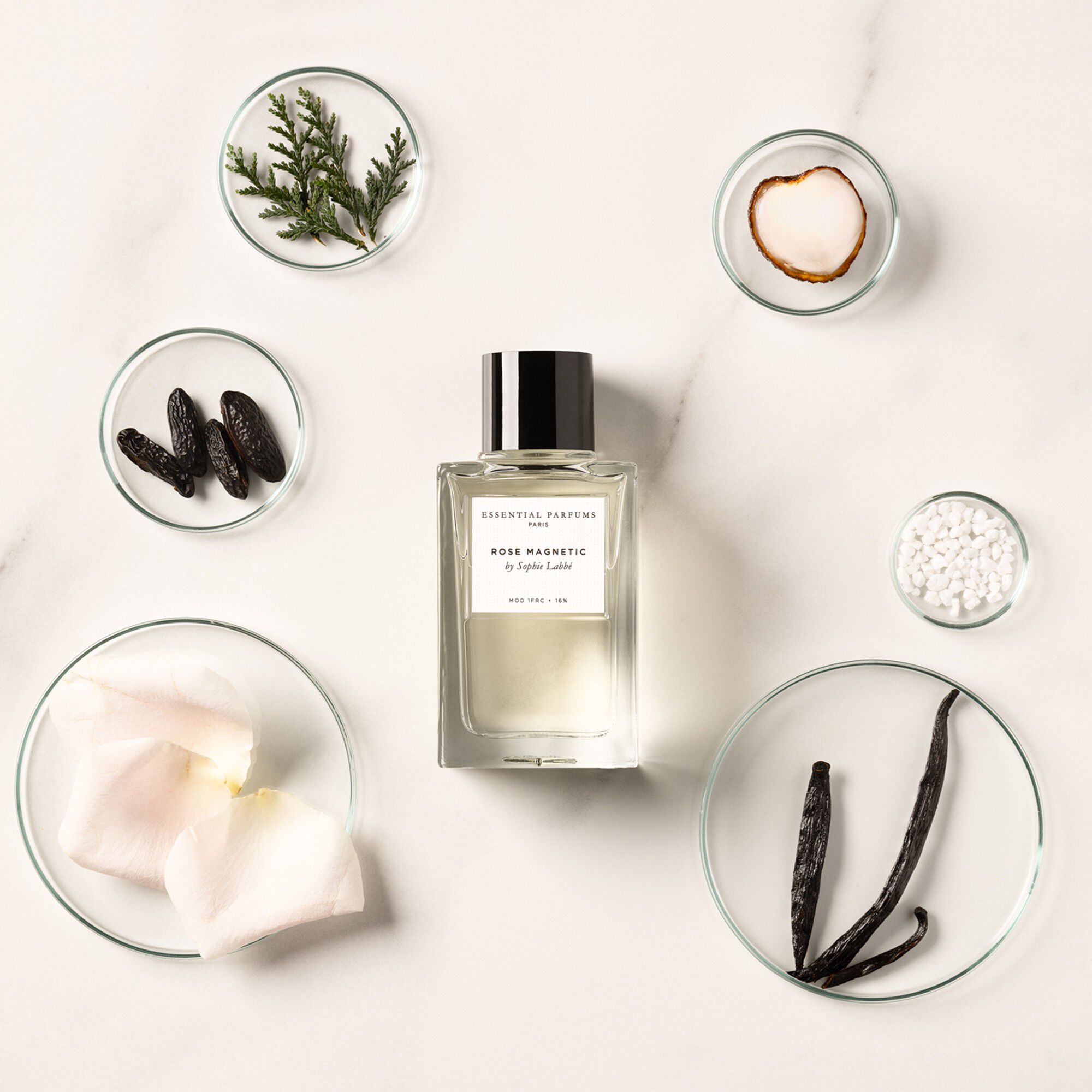 Rose Magnetic By Sophie Labbe Eau De Parfum