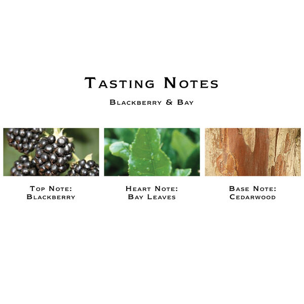 Blackberry & Bay Cologne