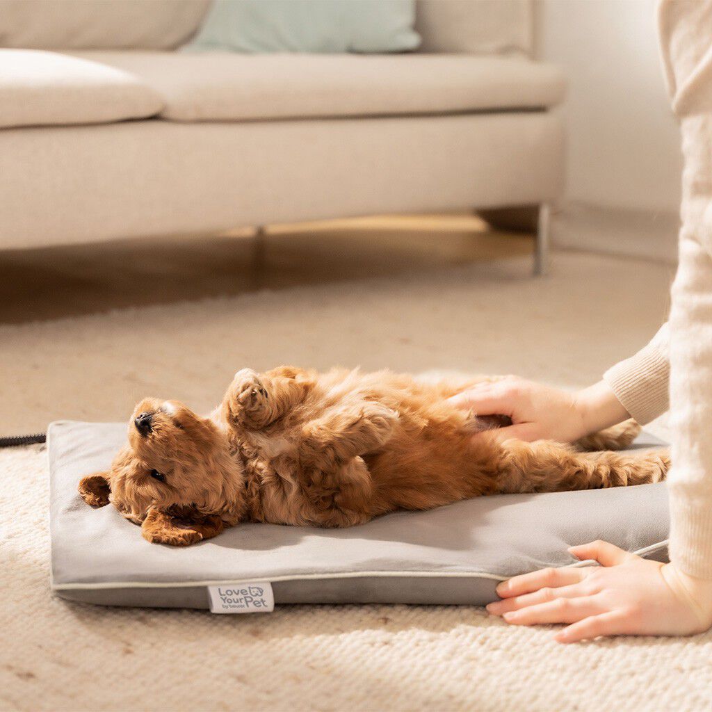 PetCare PP 210 Lilli Varmepute for kj&aelig;ledyr 41x34 cm