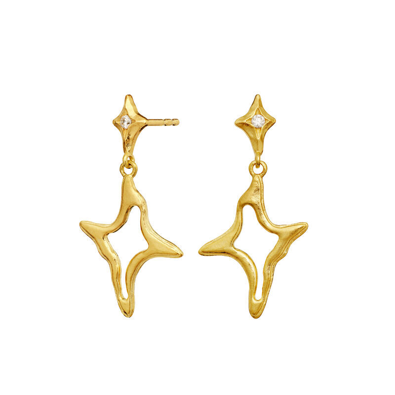 Roxy Earrings