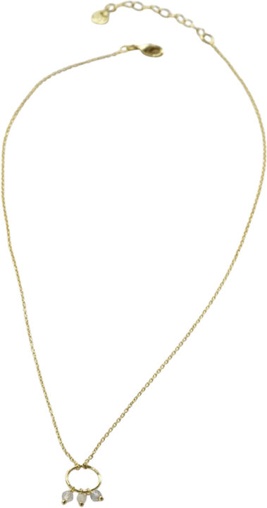 Sentiment Labradorite Moonstone Necklace GP