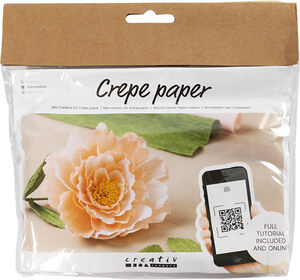Mini DIY Kit Crepepapir, Pæon