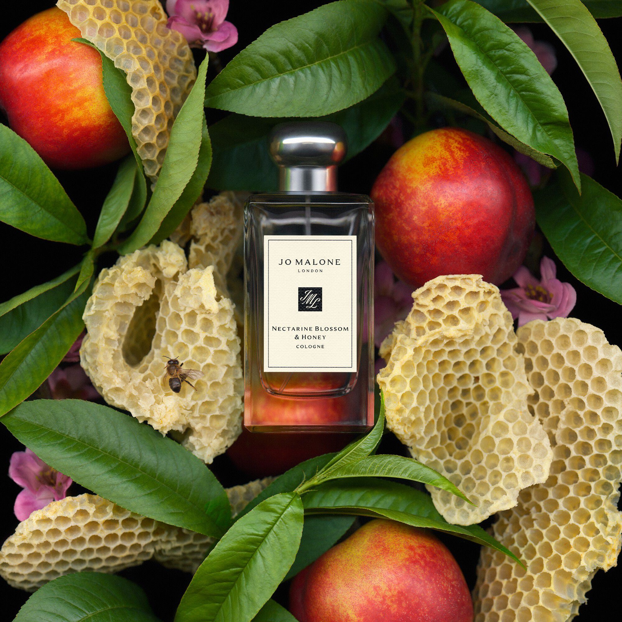 Nectarine Blossom & Honey Cologne