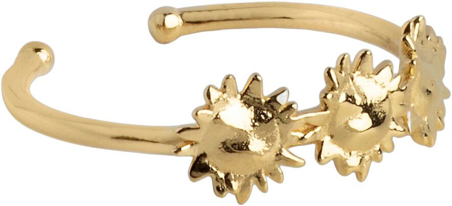 Ring, Sunshine Wreath