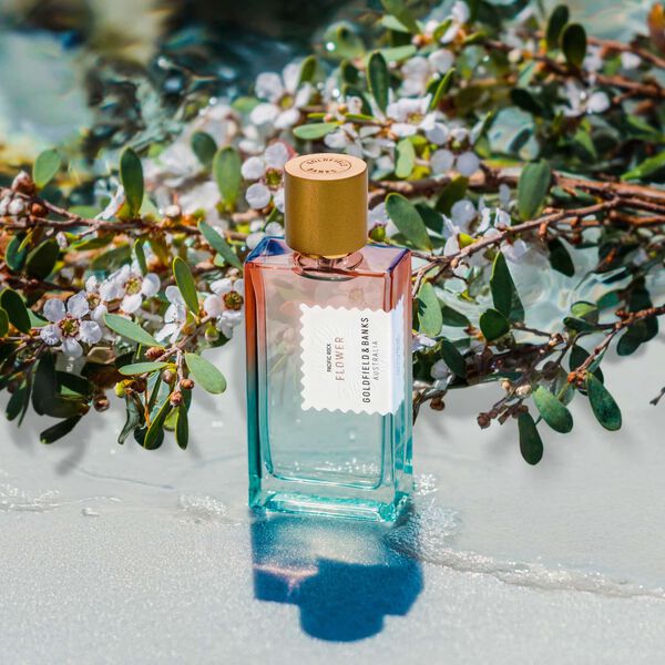 PACIFIC ROCK FLOWER Perfume 100 ml