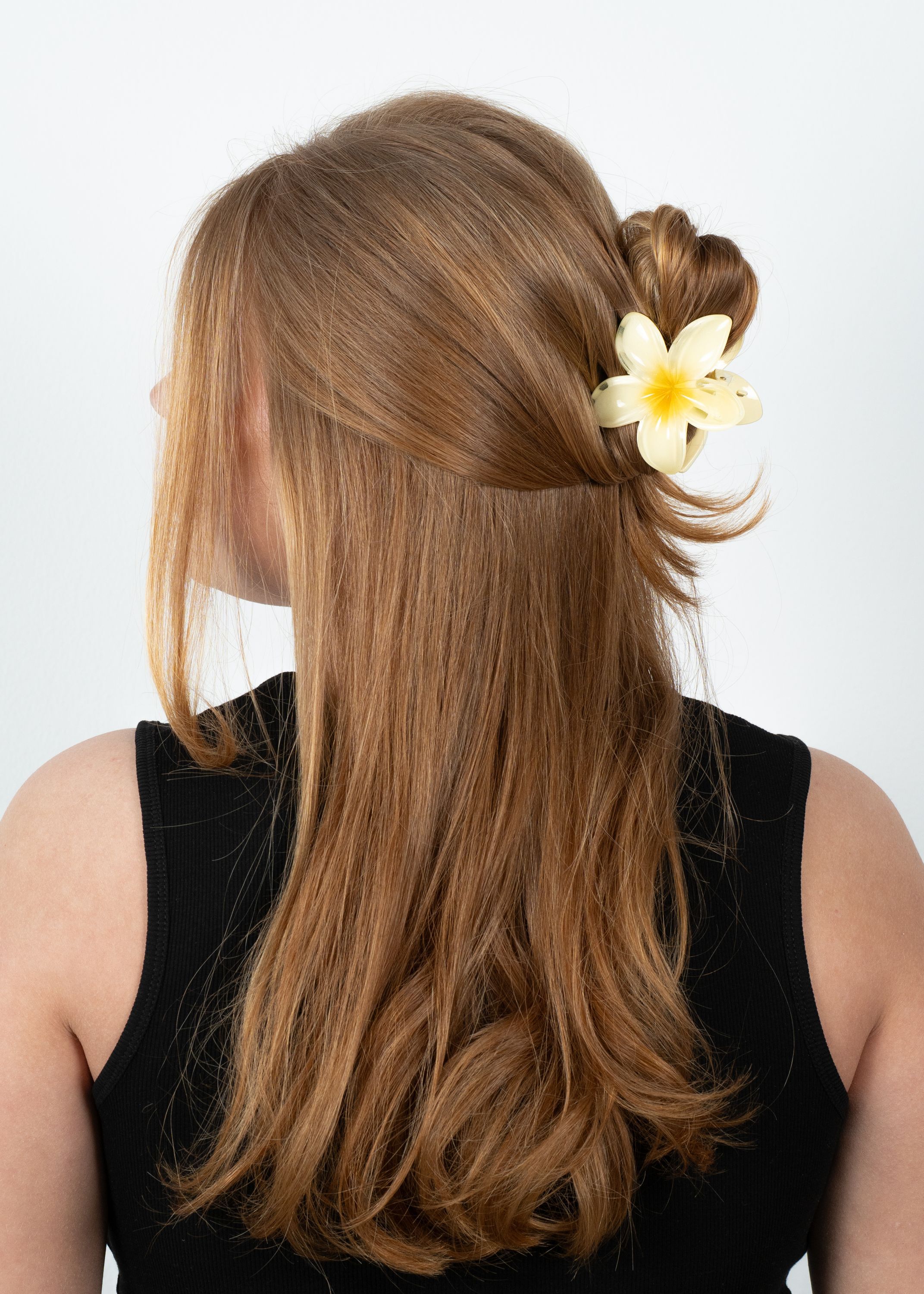 Plumeria Bisou Big