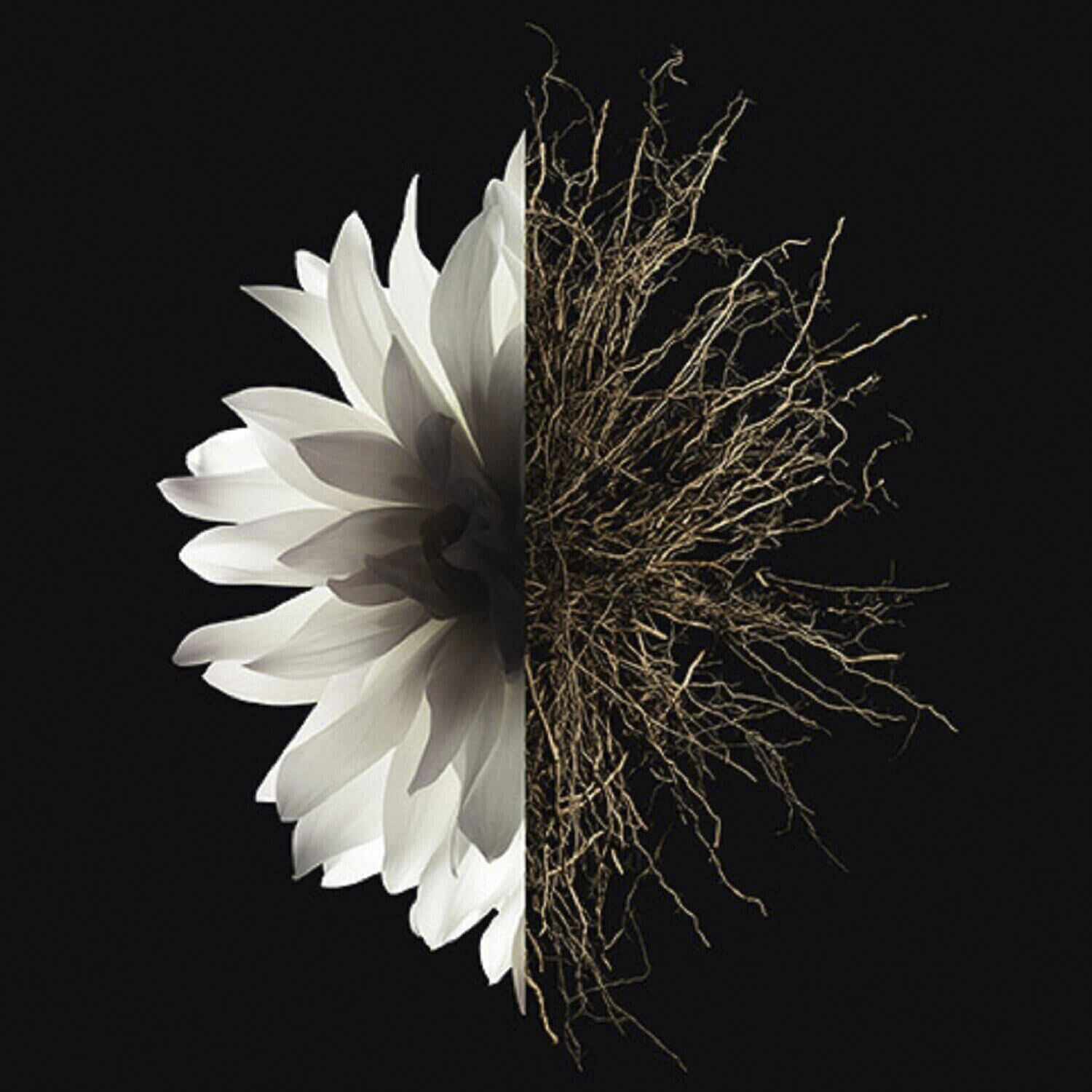 Givenchy L'Interdit Eau de parfum