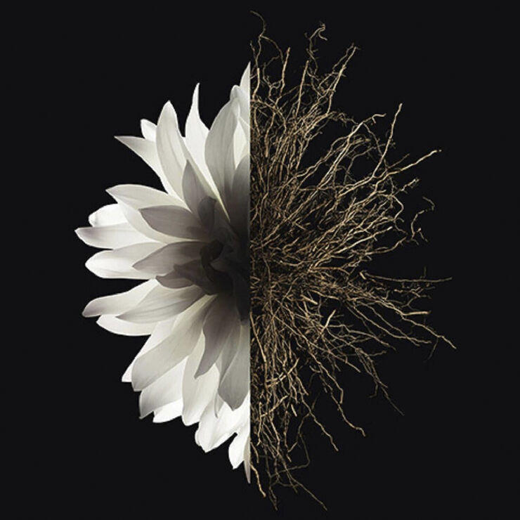 Givenchy L'Interdit Eau de parfum