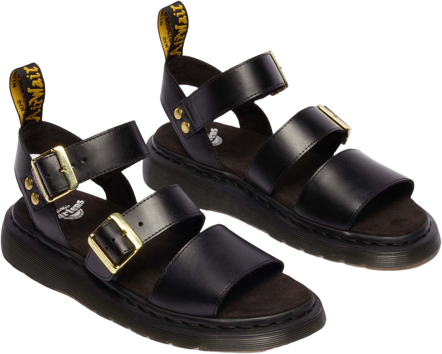 Gryphon Black Atlas