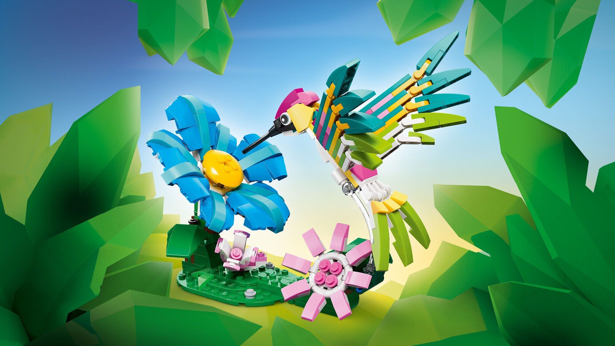 Vilde dyr - Farverig kolibri 31384