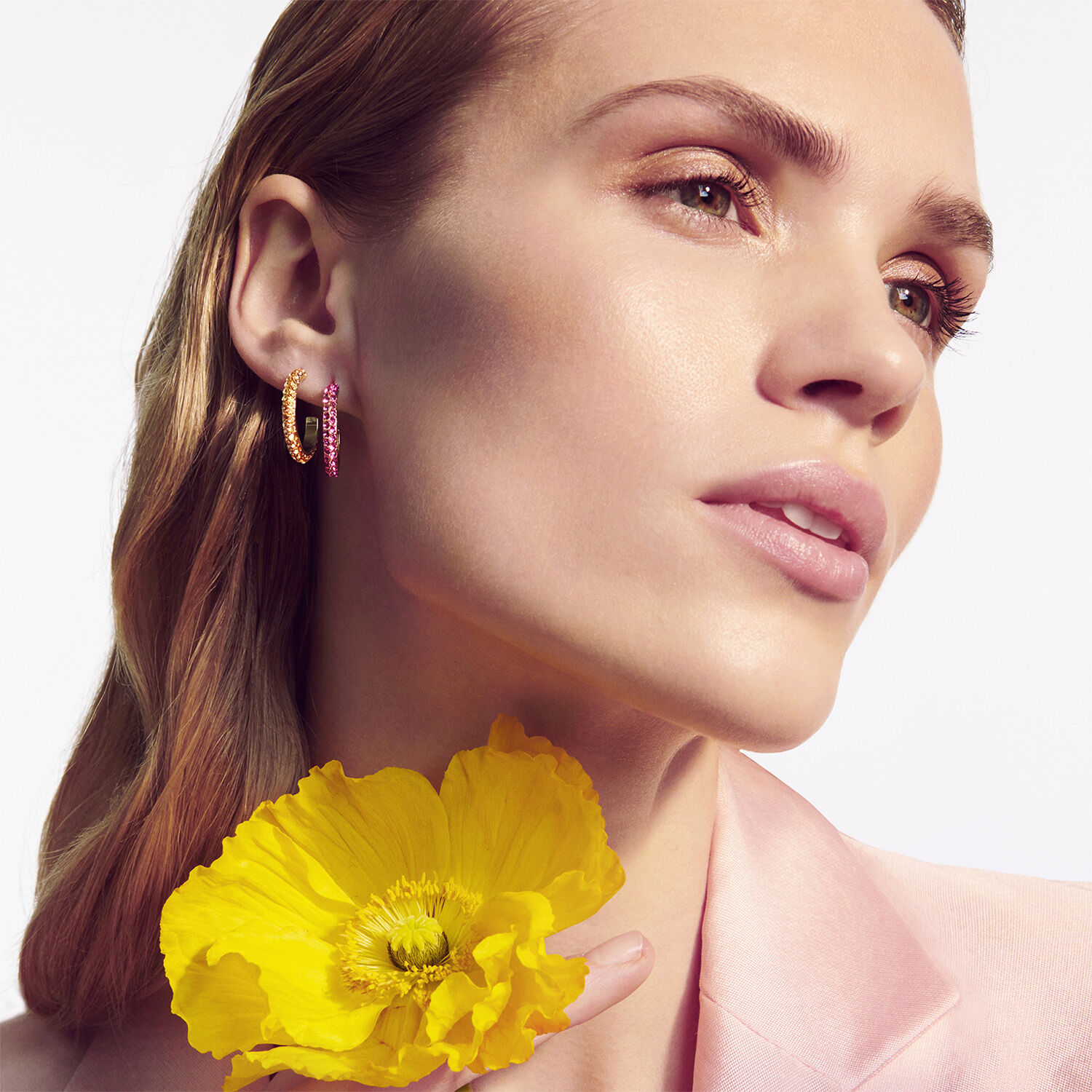 Hosta sg golden shadow