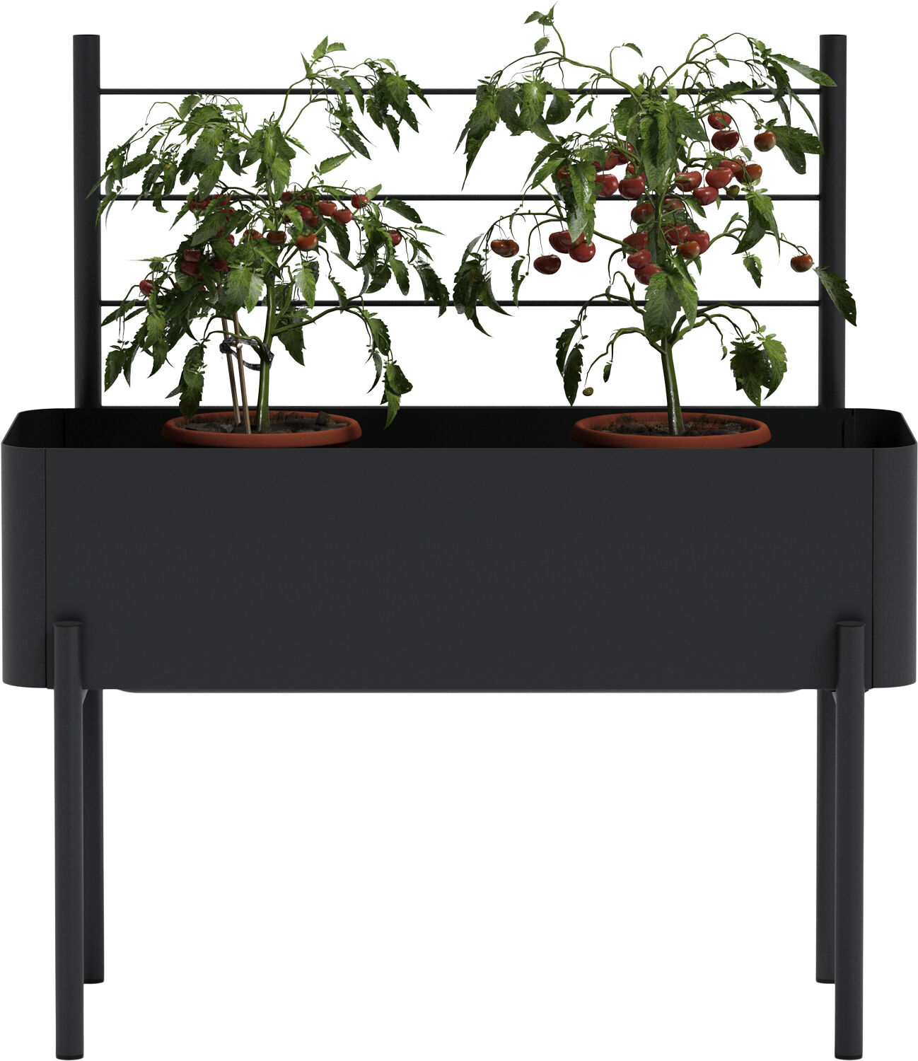 Simply Grow Espalier til plantekasse