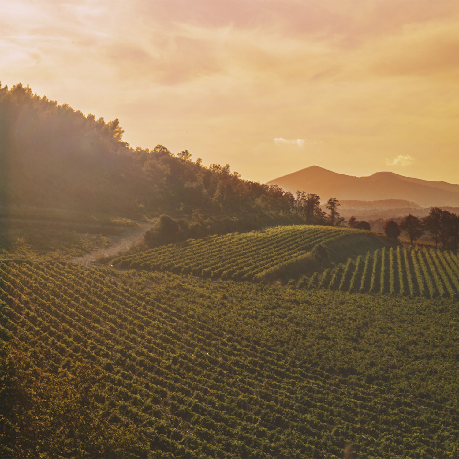 Replica On a Date Eau de Toilette