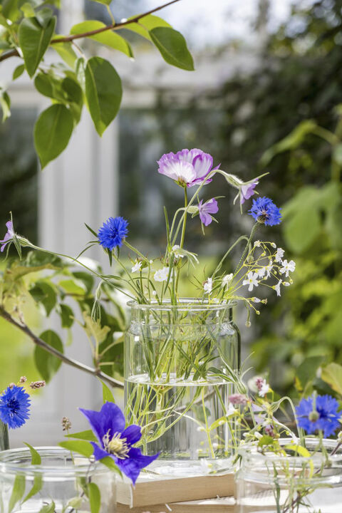 Vase m/bred kant Claire