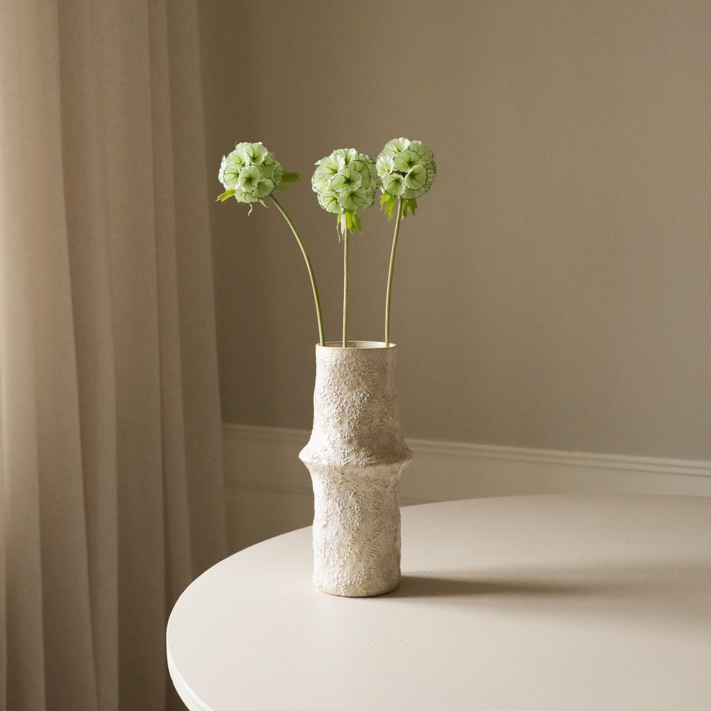 Scabiosa Seed Pod Flower