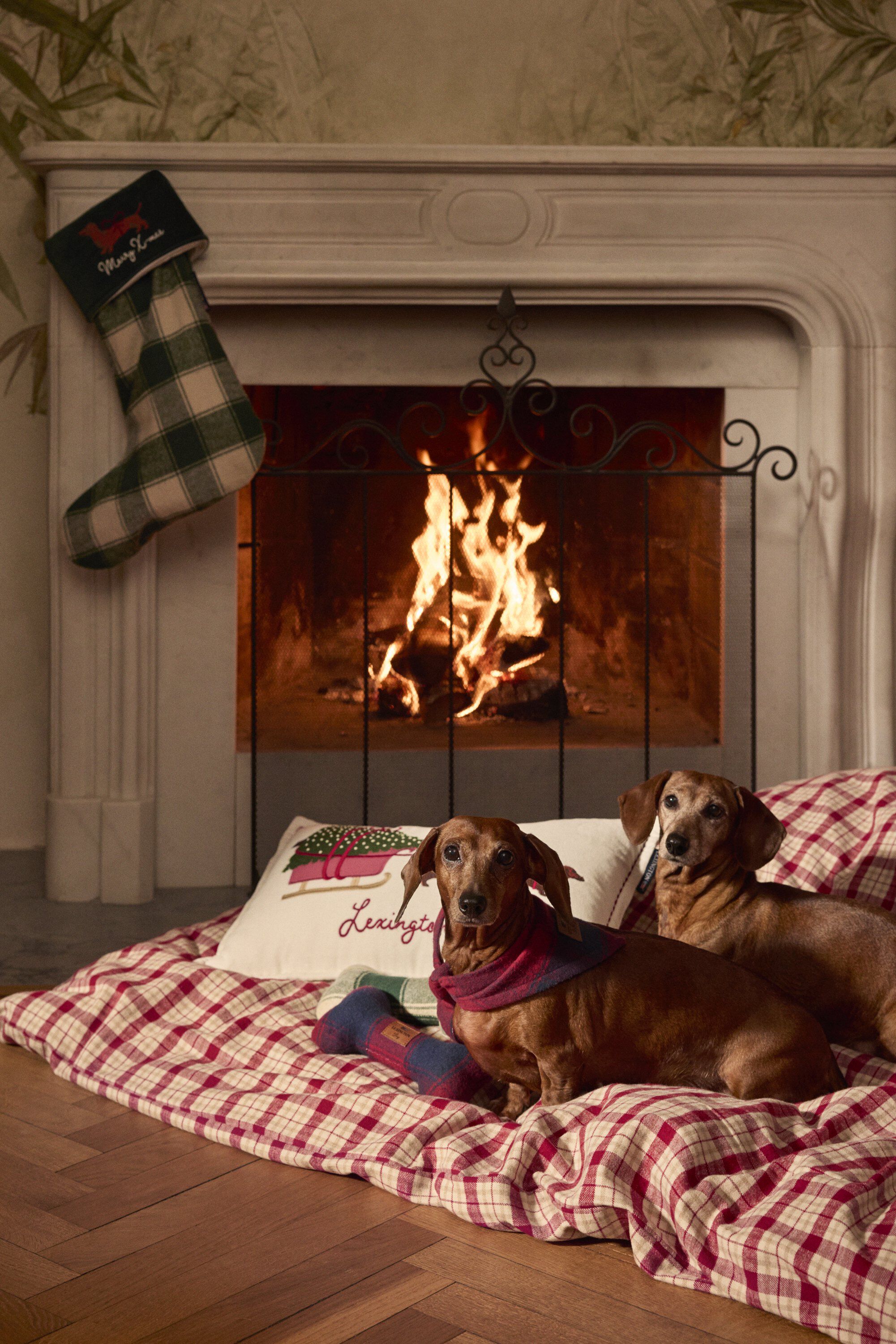 RedBeige Checked Cotton Flannel Bed Set