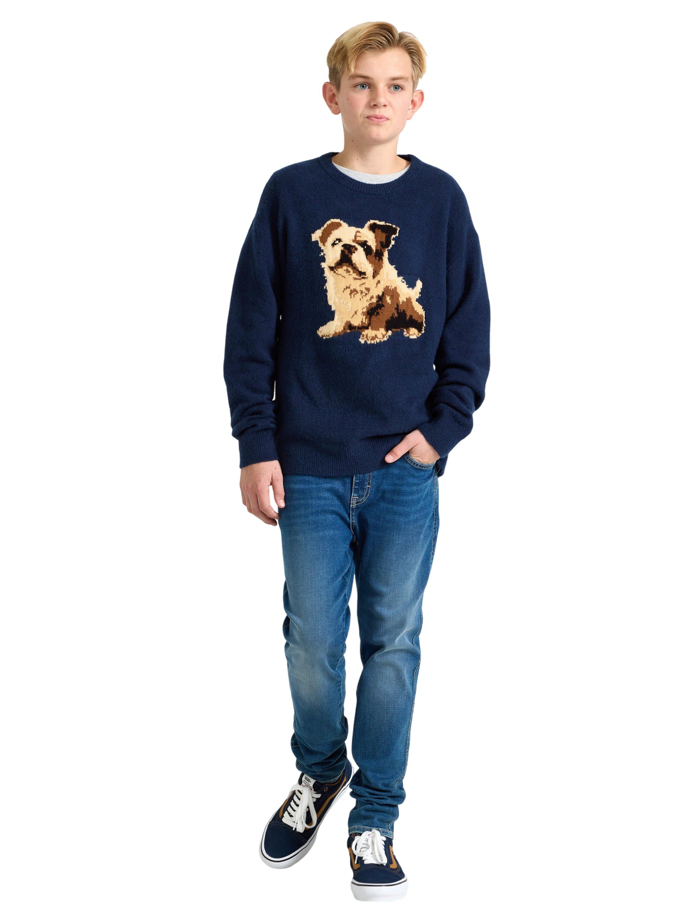 Sweater jaquard dog