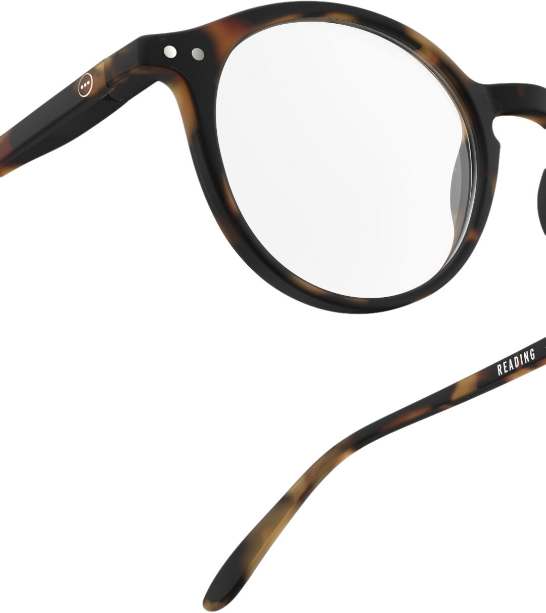 READING #D Tortoise Soft