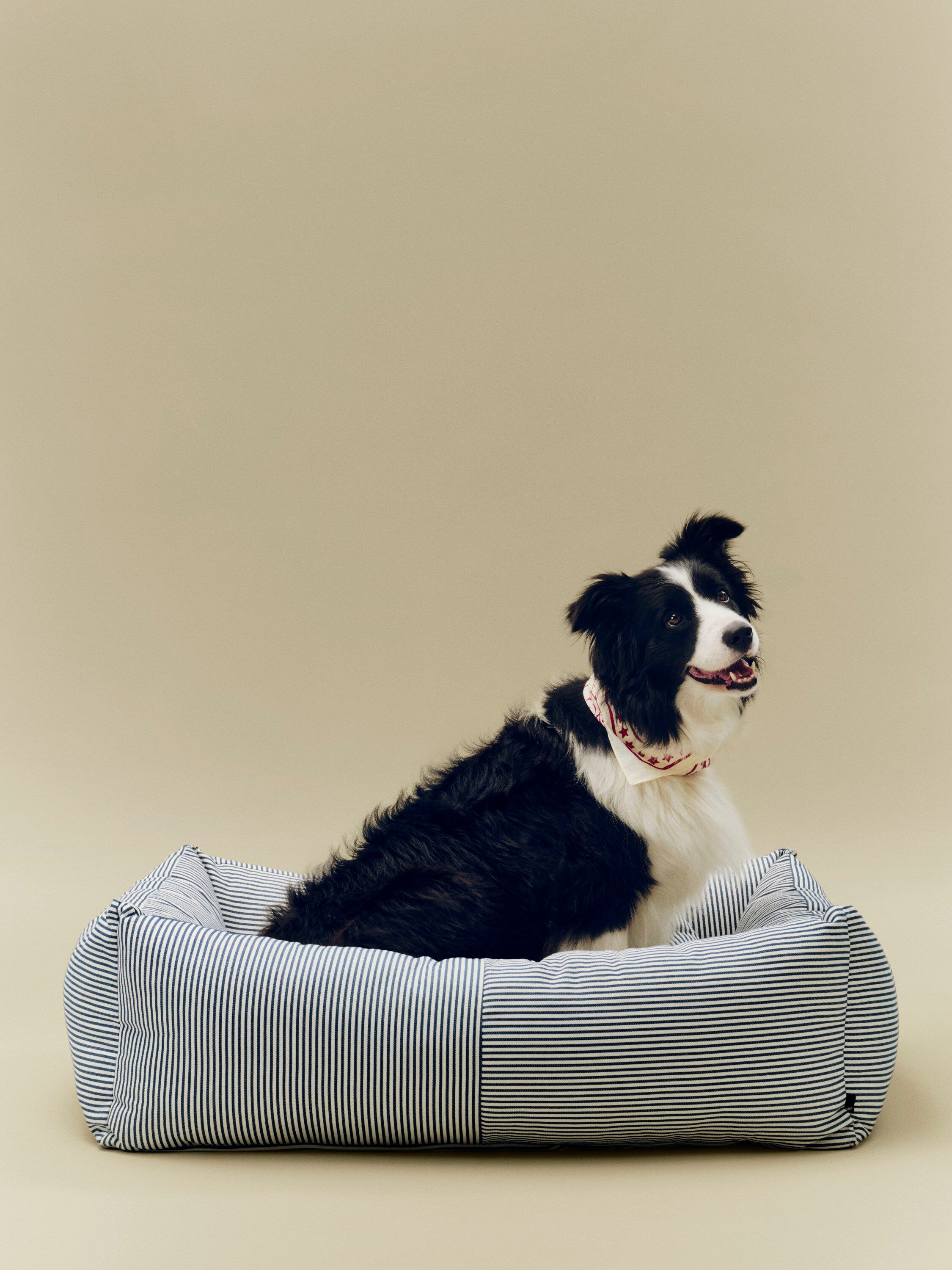 HAY Dogs Bed Zip-Large-Blue and whi