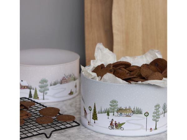 Kakebokssett Vinter 22x12/20x10 cm Arctic Ice/Woodrose Metal