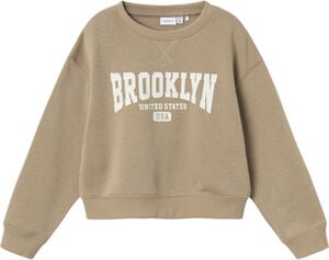 NKFNIKNAKS LS SHORT RLX SWEAT BRU