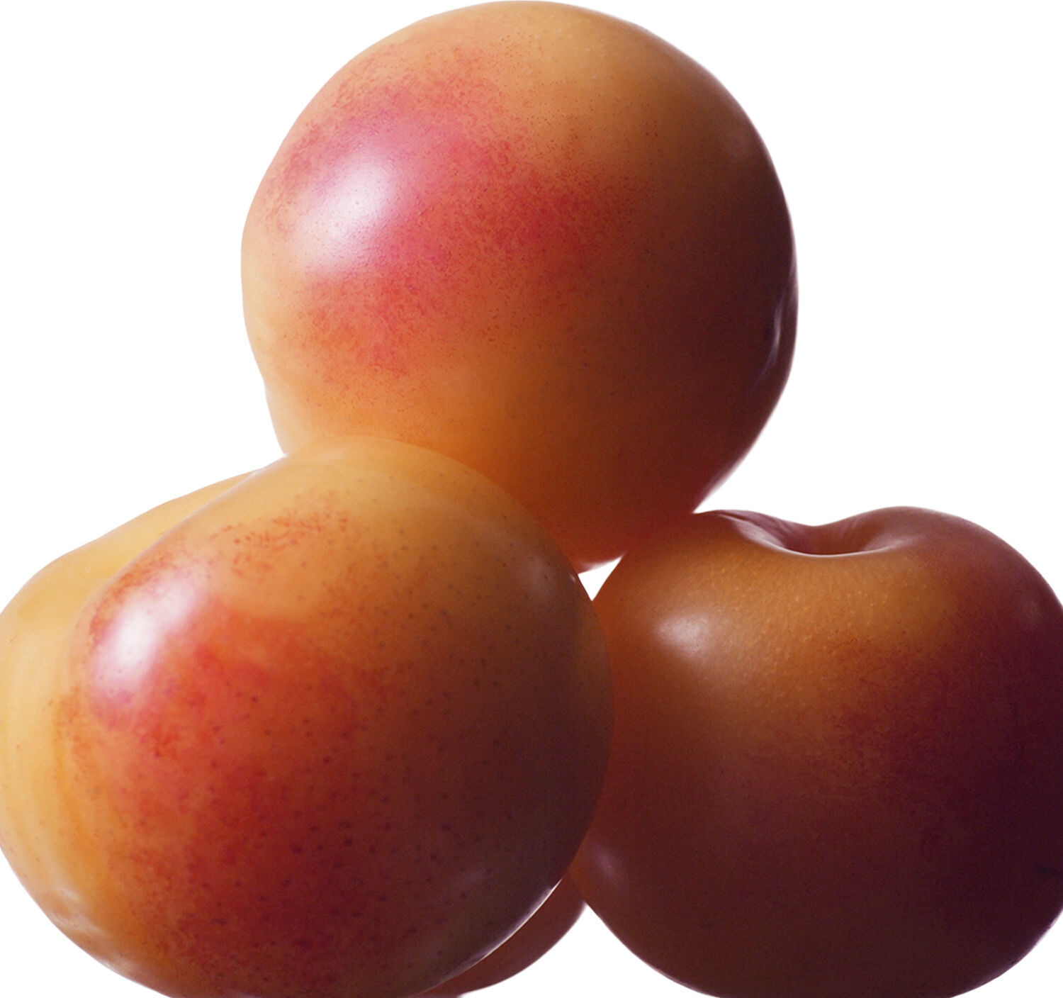 Calvin Klein Euphoria Eau de Toilette