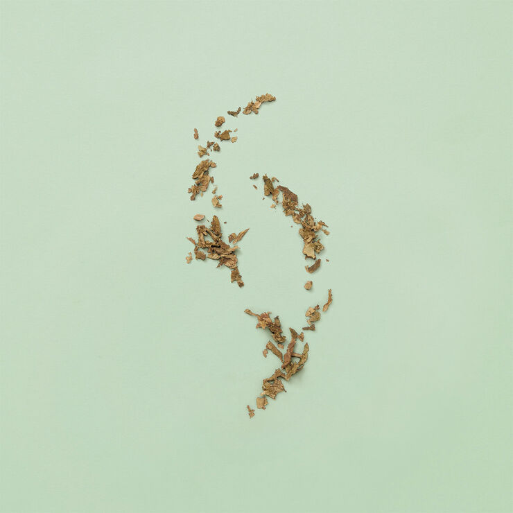 Gucci Guilty Pour Homme Eau de Toilette