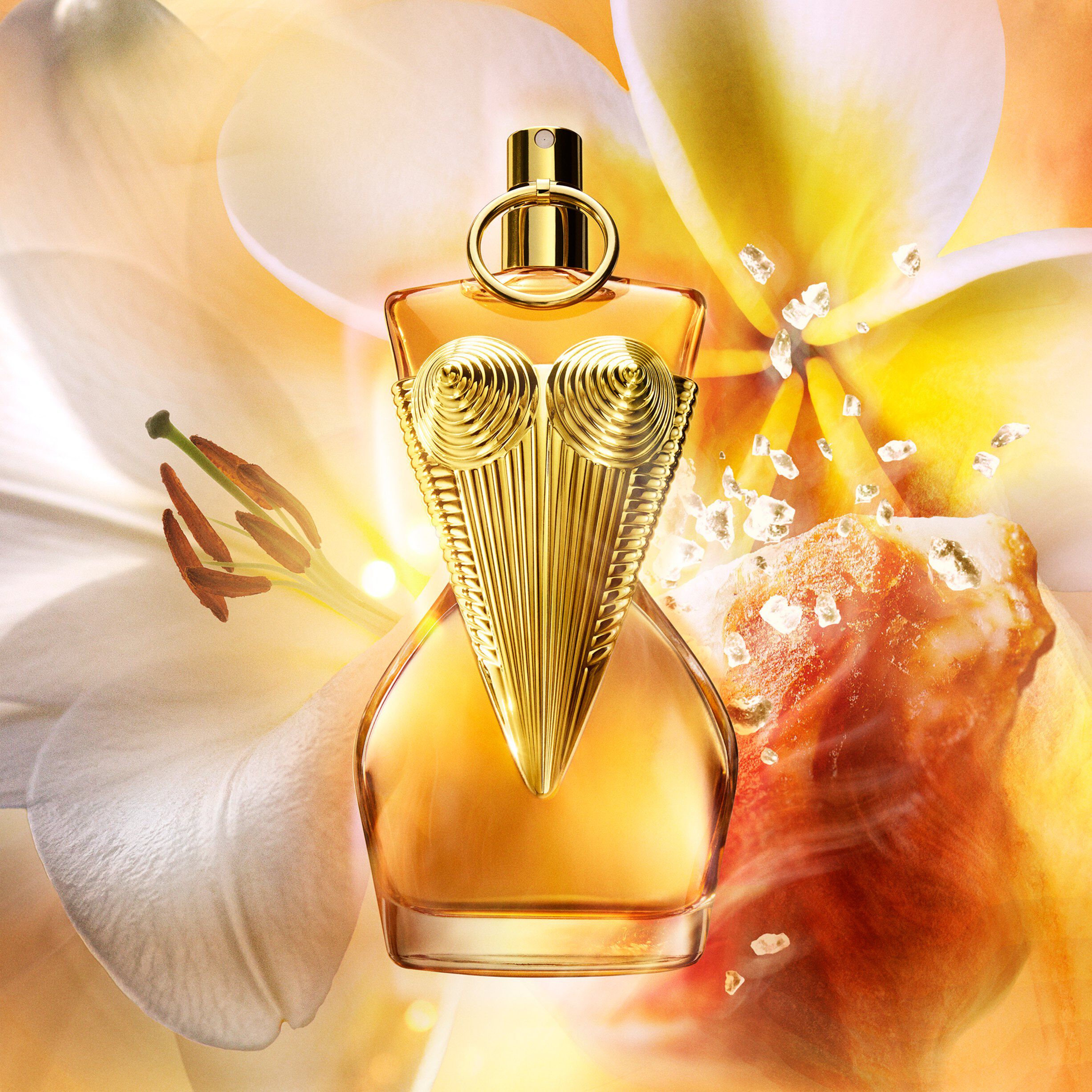 Divine Le Parfum Eau de Parfum Intense