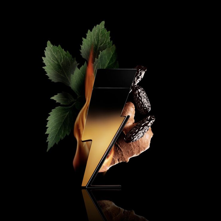 BAD BOY Extreme Eau de Parfum