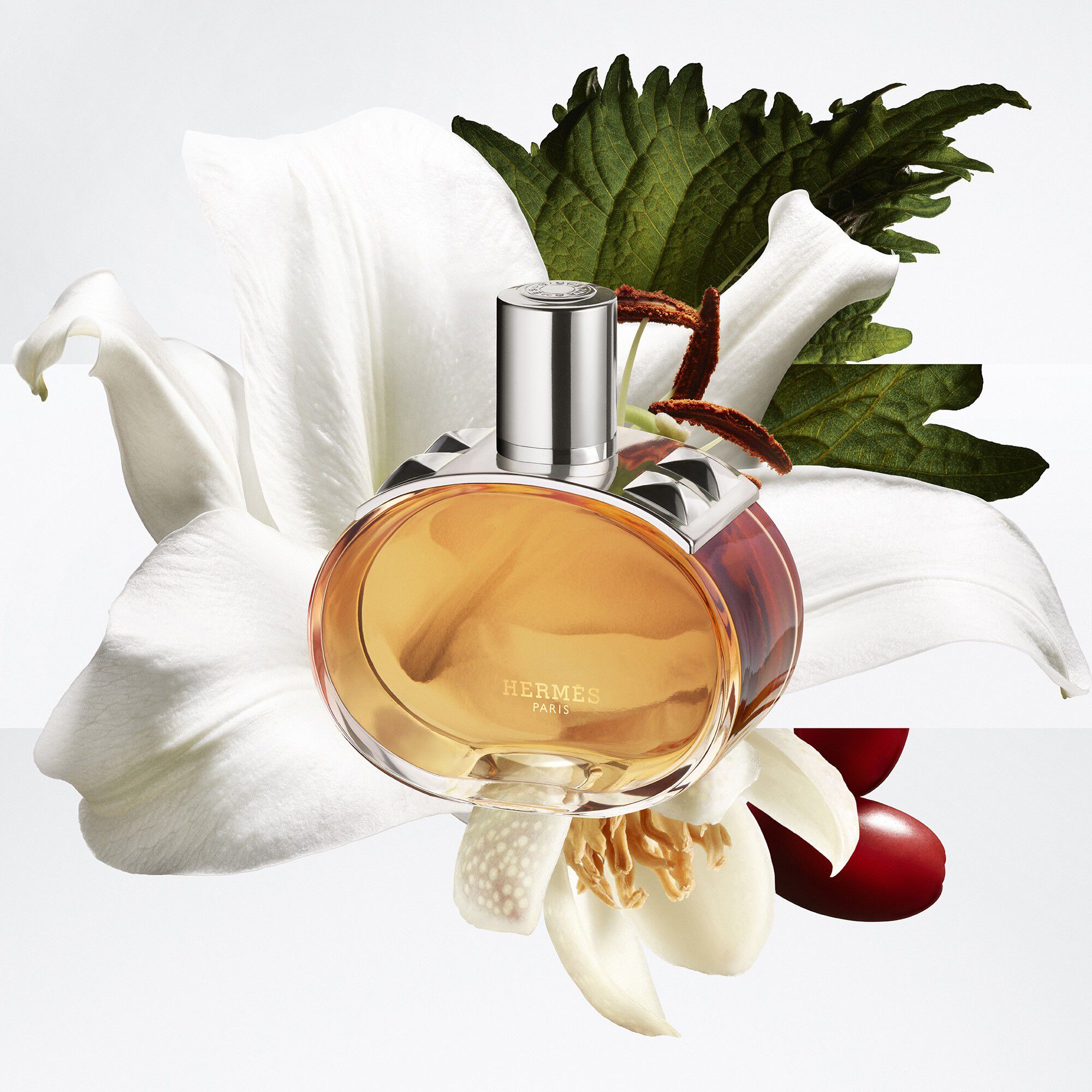 Bar&eacute;nia Pleine Fleur, Eau De Parfum