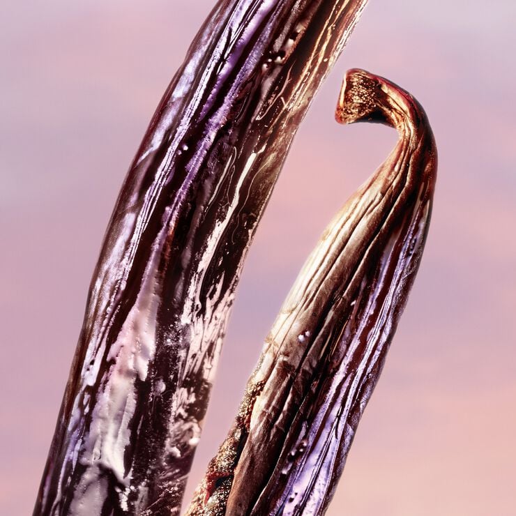 La vie est belle Vanille Nude Eau de Parfum