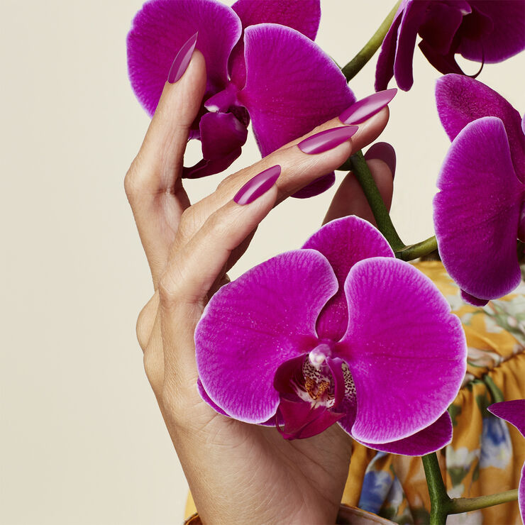 Orchid Canopy, CND VINYLUX