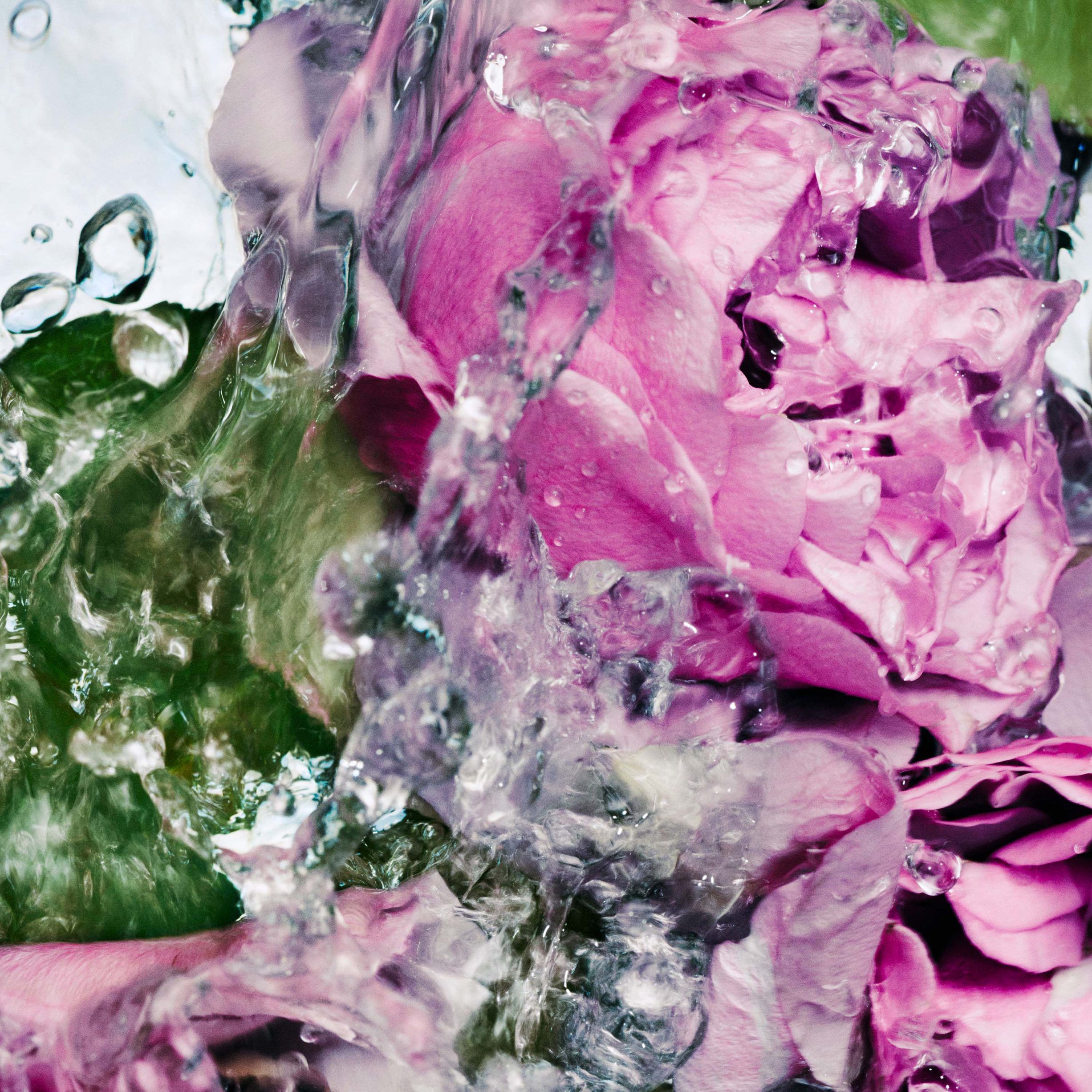 Hand Cream Lost Rose