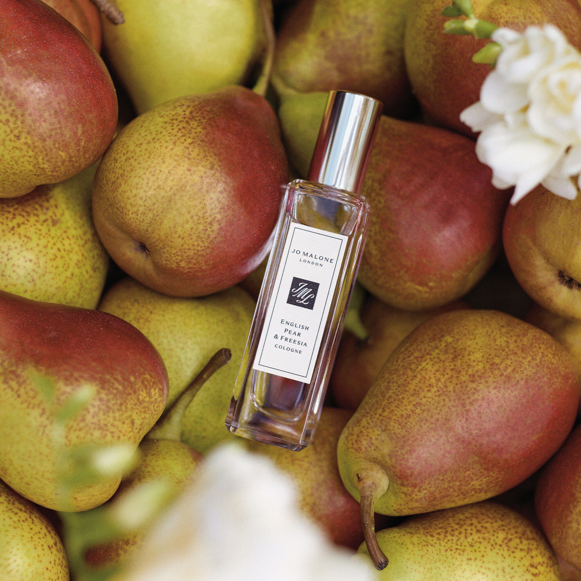 English Pear & Freesia Cologne