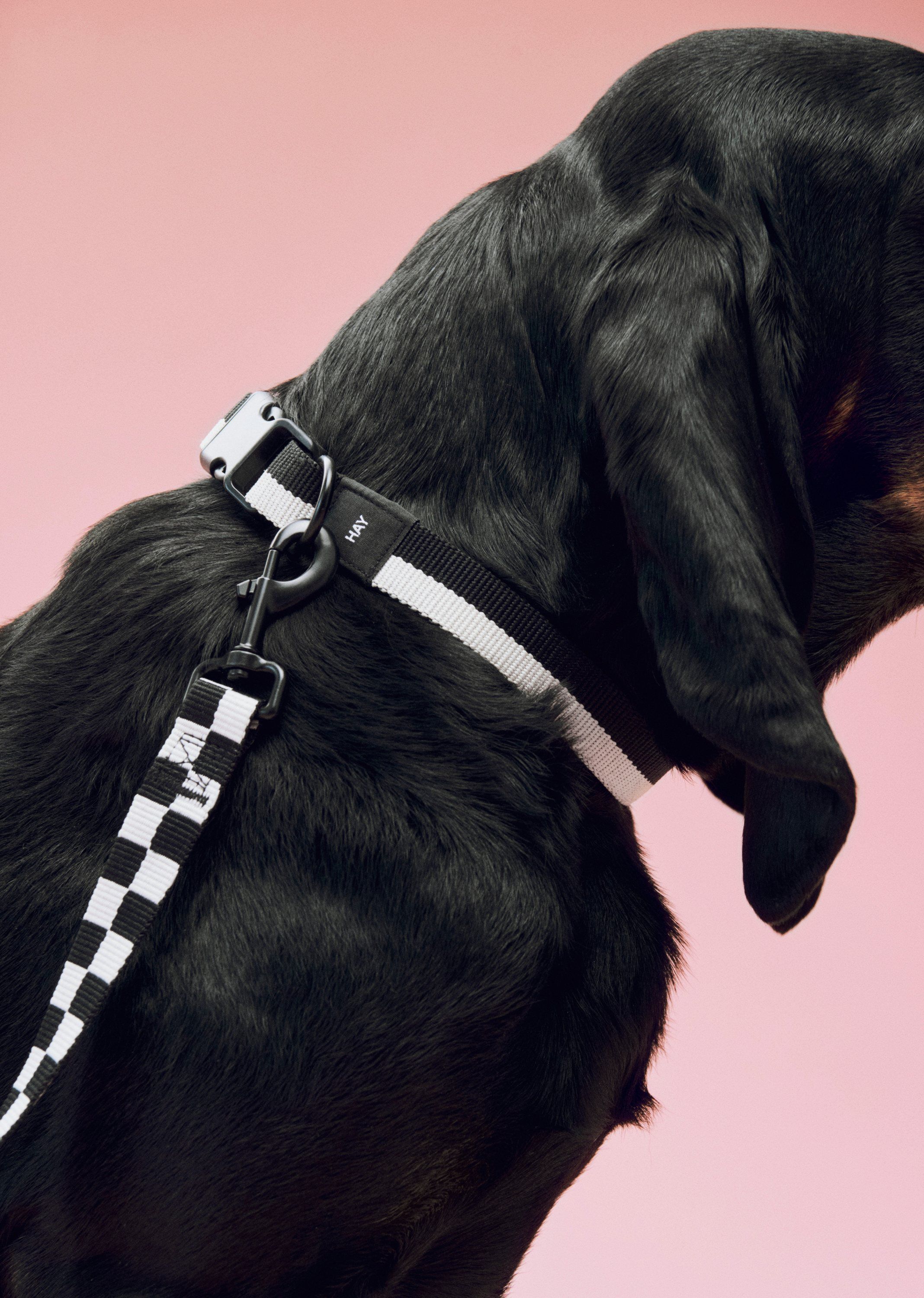 HAY Dogs Leash-Flat Check M/L-Black