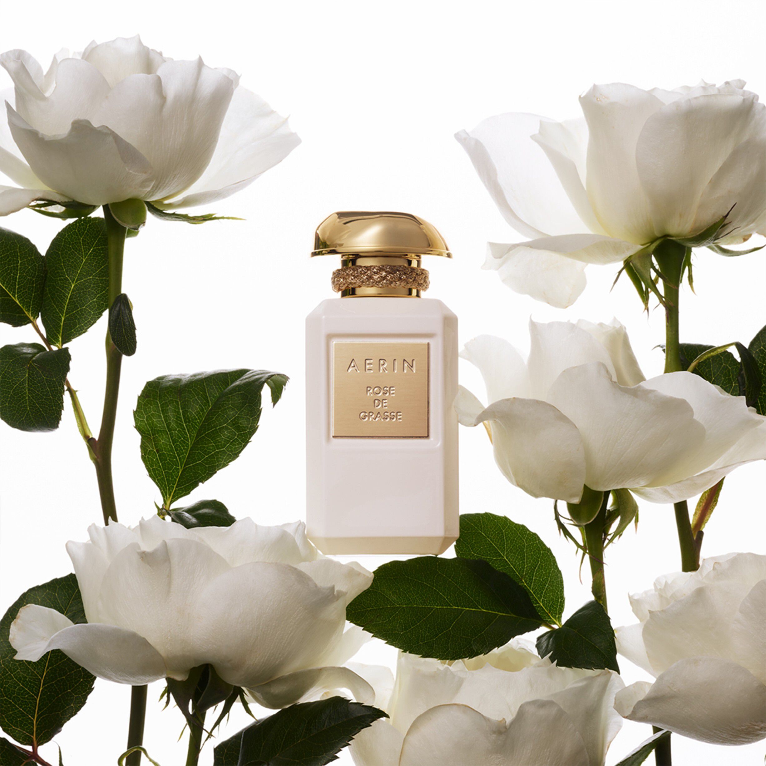 ROSE DE GRASSE 100ML/3. 4FLOZ