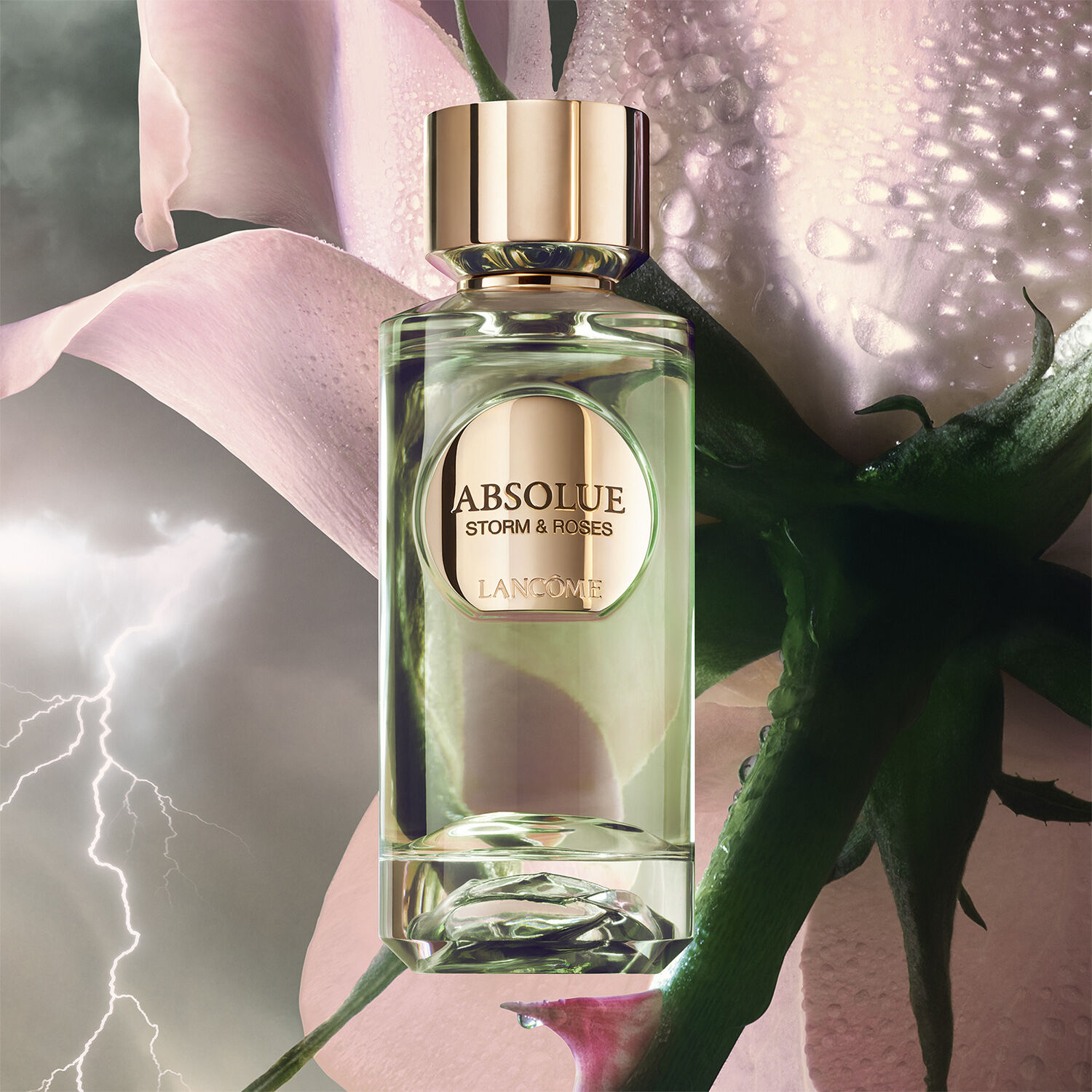 Absolue Les Parfums STORM & ROSES Eau de Parfum