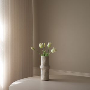 Triumph Tulip Bundle White