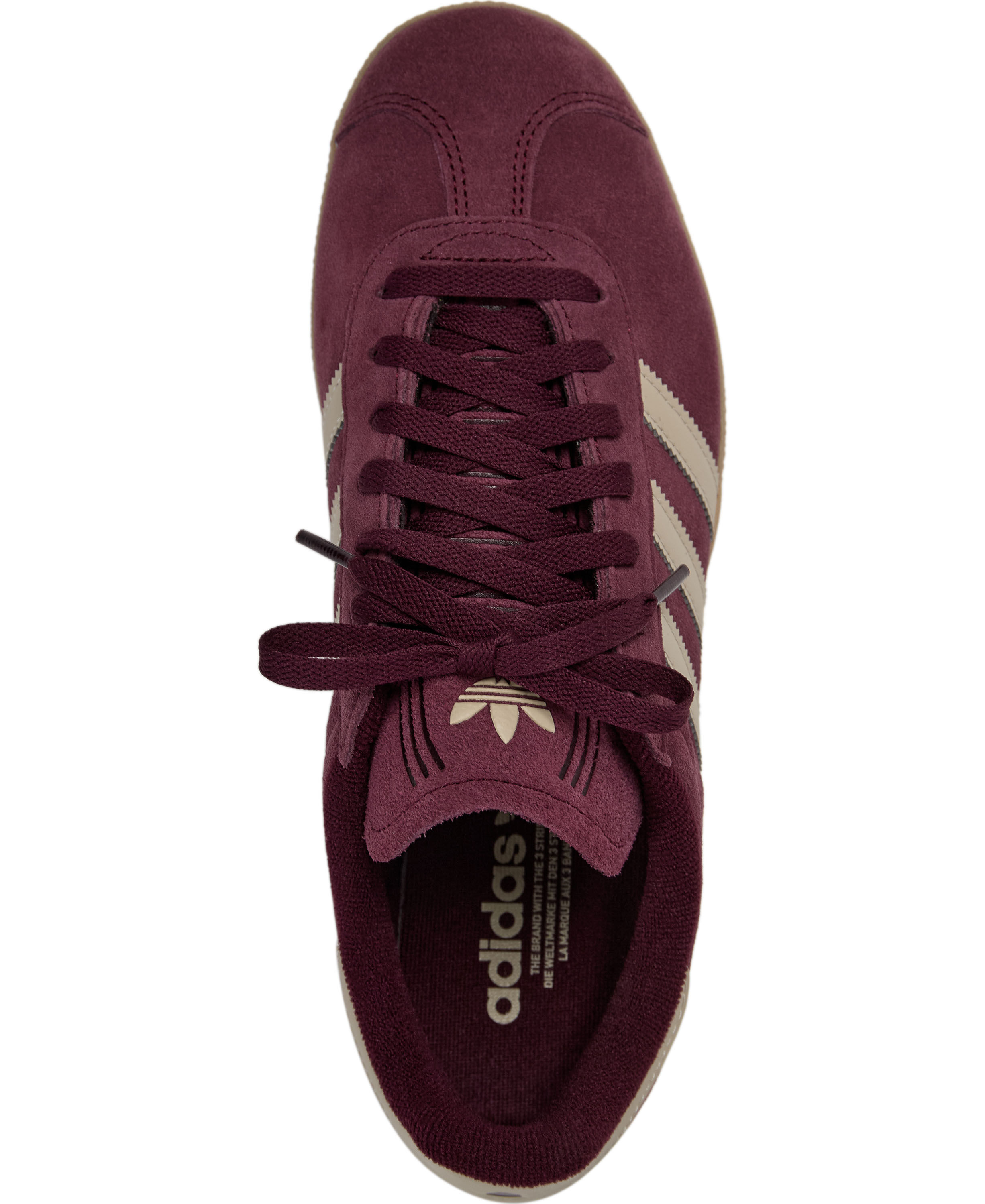 GAZELLE