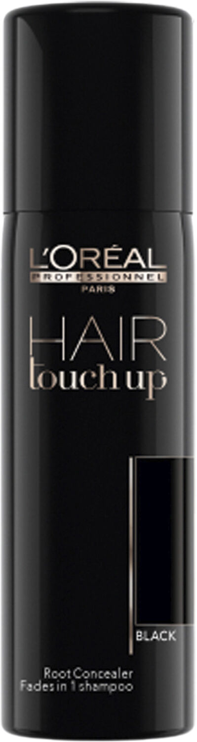 L'Or&eacute;al Professionnel Hair Touch Up Light Brown