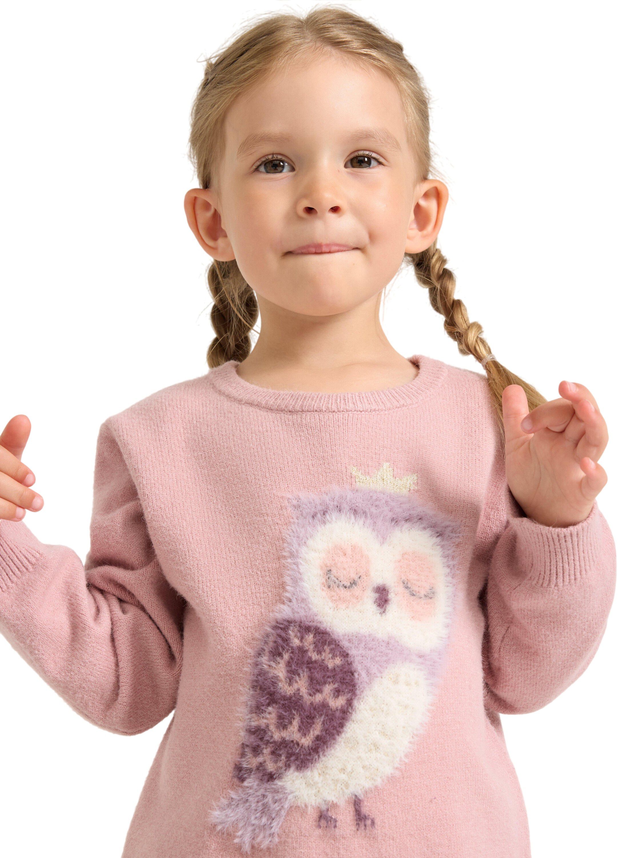 Sweater intarsia animal placem