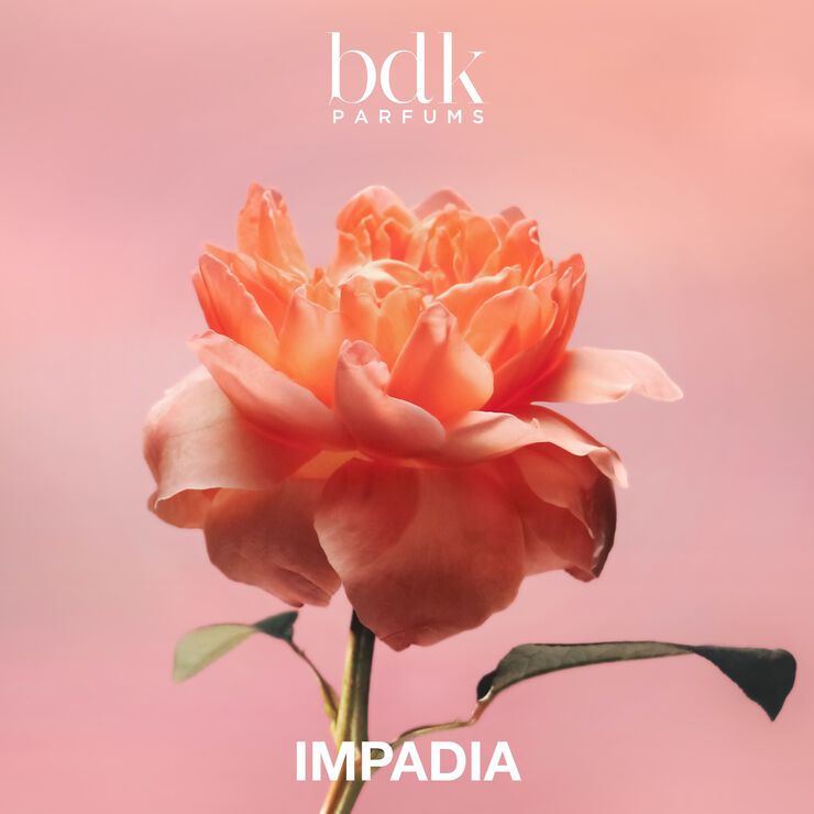 IMPADIA - Eau de Parfum 100 ML