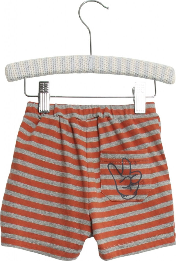 Disney Mickey Shorts