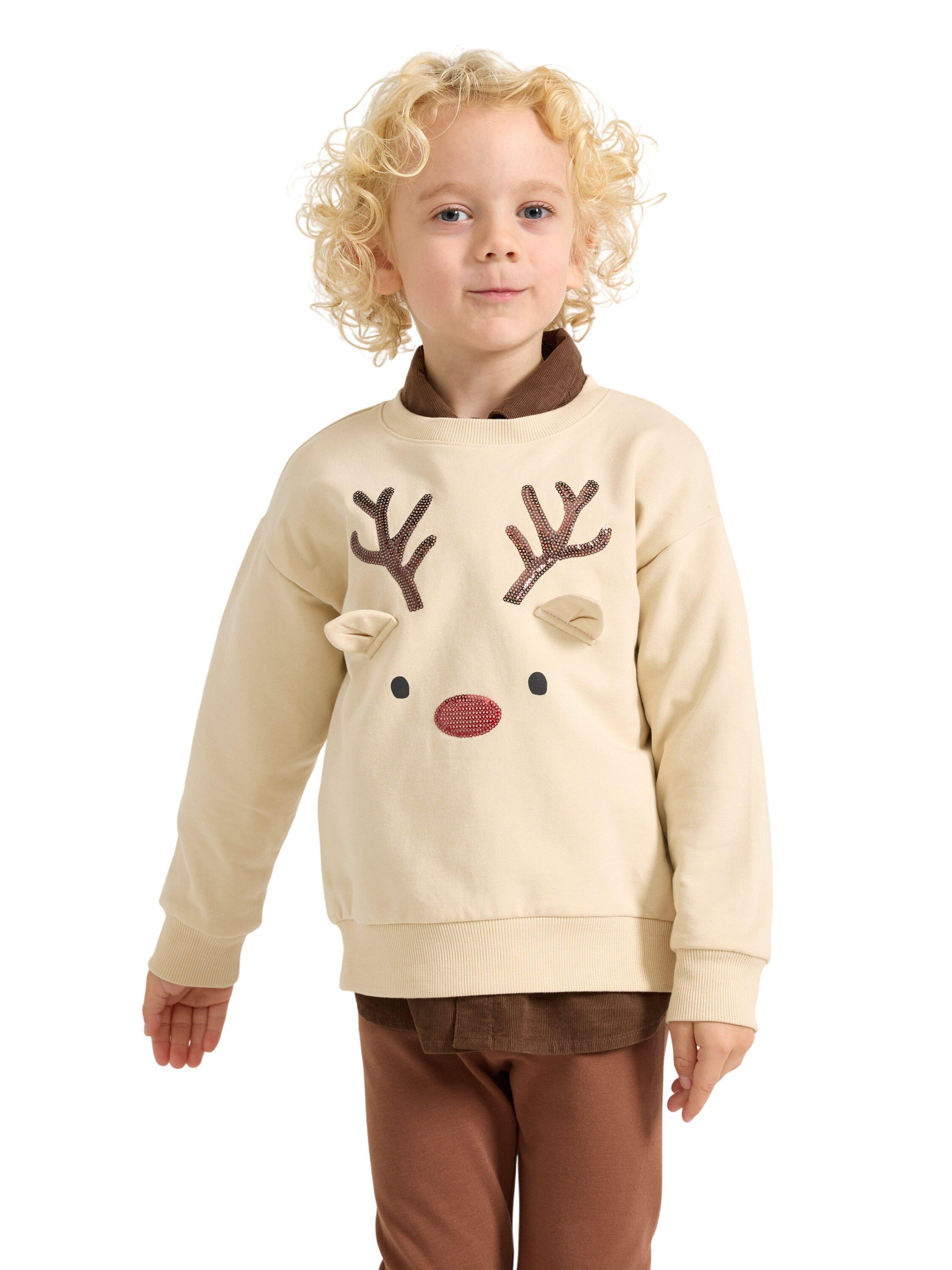 Soft jersey sweatshirt with a brush